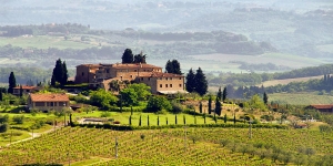 Chianti Tour from Florence with Wine Tasting and Lunch in the Tuscan Countryside with private driver and private tour guide