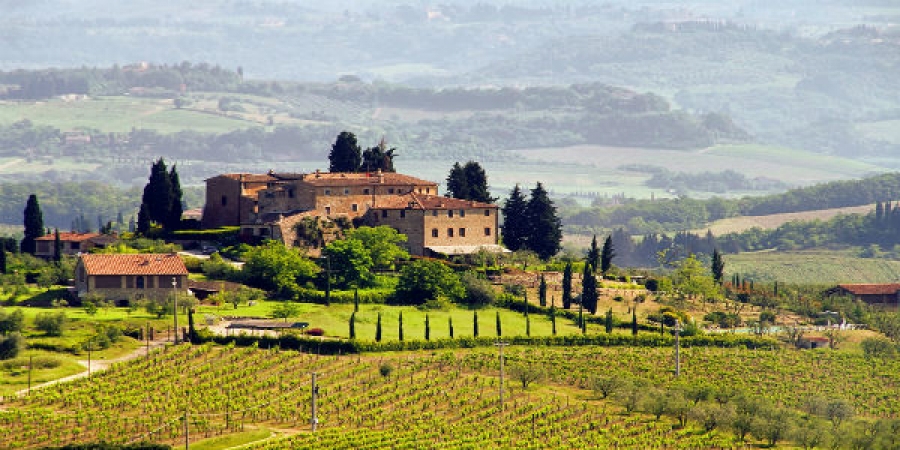 Chianti Tour from Florence with Wine Tasting and Lunch in the Tuscan Countryside with private driver and private tour guide