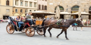 Romantic Private Tour around the Main Monuments on a Carriage in Florence