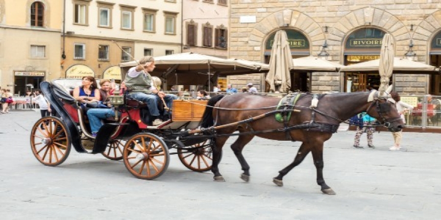 l b italian tours