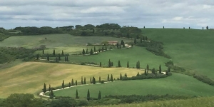 Highlights of the Chianti Region Tour - small group tour