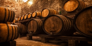 Tuscany Wine and Olive Oil Trail – small group tour