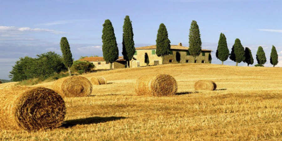 Cooking Class at a Farmhouse in Tuscany - small group tour