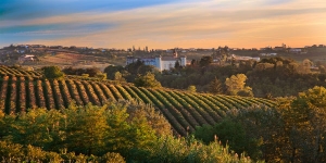 Visit the Prosecco Hills and Two Local Wine Estates - private tour, day trip from Venice with lunch